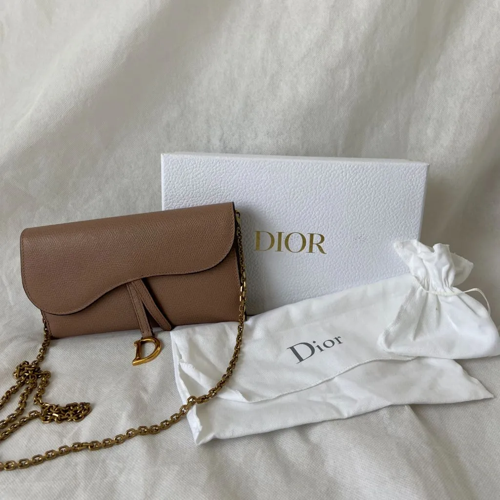 Dior Dusty Rose Leather Saddle Wallet on Chain