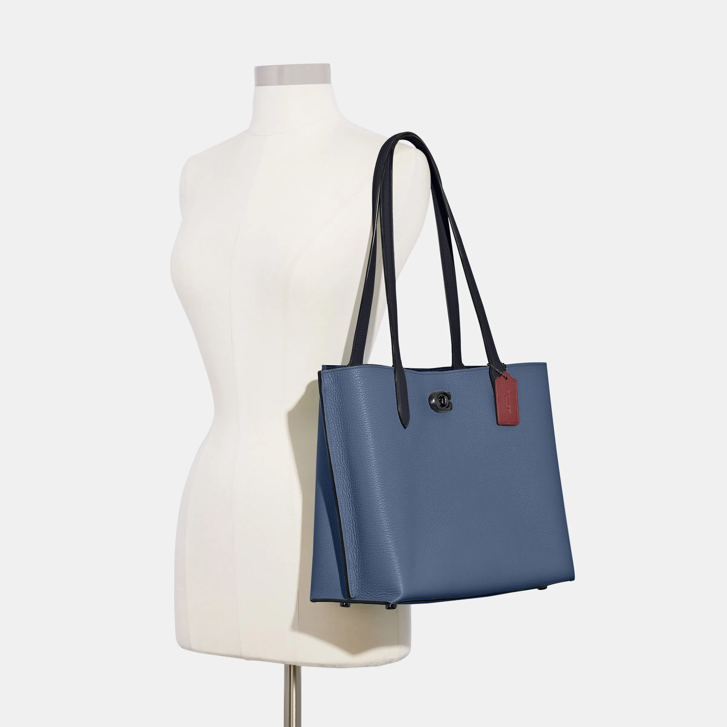 Willow Tote In Colorblock With Signature Canvas Interior