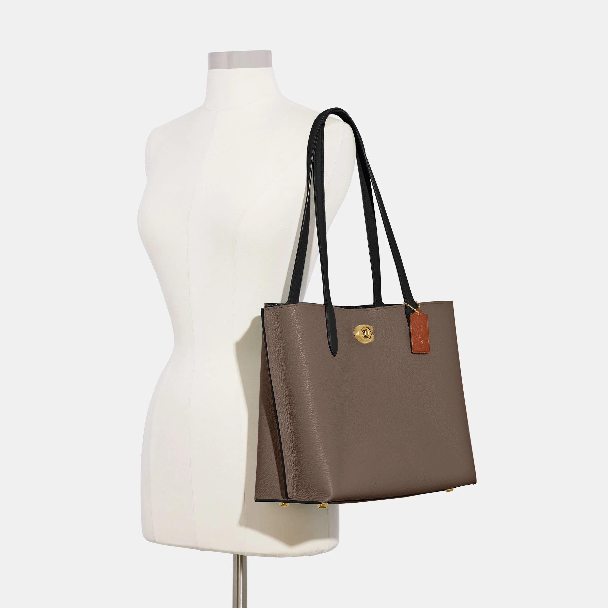 Willow Tote In Colorblock With Signature Canvas Interior